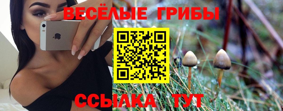 Галлюциногенные грибы Psilocybine cubensis  Вход с VPN  Чайковский  Галлюциногенные грибы мухоморы 