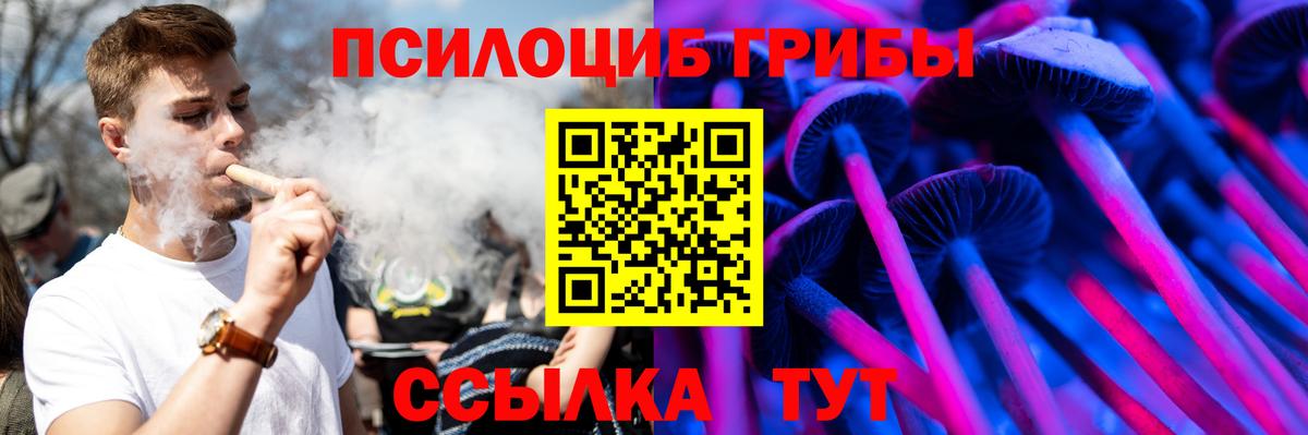 Псилоцибиновые грибы GOLDEN TEACHER Чайковский